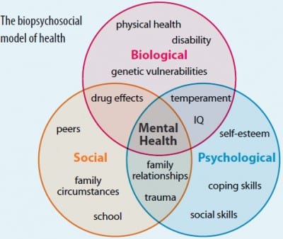 The Biopsychosocial Model Of Pain Dr Natasha Hayden Montreal 